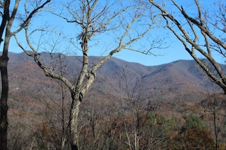 1 Gabriel Ridge, Hayesville, NC 28904