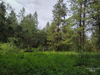 NNA - 5 AC Jack Pine Rd, Cottonwood, ID 83522