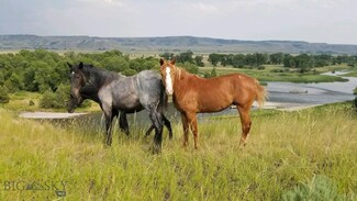 5255 Madison Rd, Three Forks, MT 59752