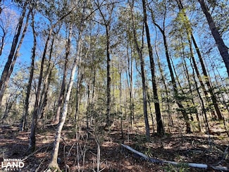 0 Bud Odom Rd Unit 25514042, Deer Park, AL 36529