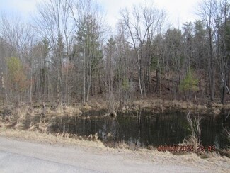 Lot 5 Williams Rd, Macomb, NY 13642