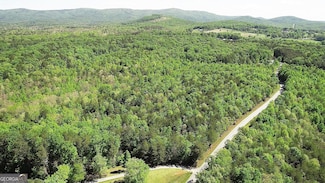 0 Ben Jones Rd Unit 10021237, Clarkesville, GA 30523