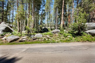 21768 Lotta Crabtree, Soda Springs, CA 95728