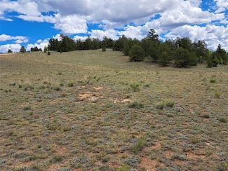 900 Remington Rd, Jefferson, CO 80456