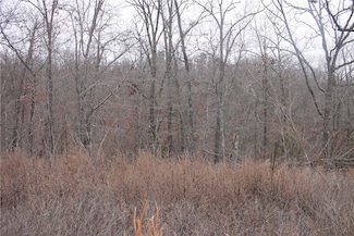 TBD Cromarty Dr, Bella Vista, AR 72715