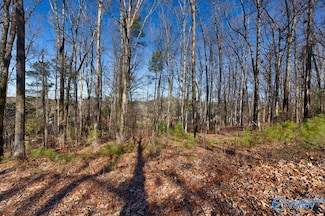 153 Parsons Dr SE, Huntsville, AL 35803