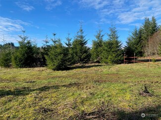 0 Lot 2 Brockway Rd, Chehalis, WA 98532