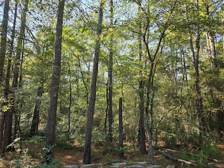 0 Hackberry, Plantersville, TX 77363