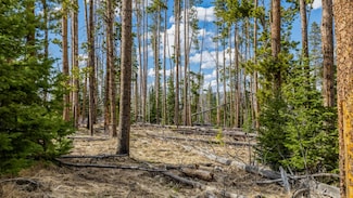 Lot 98 South Station II, Oak Creek, CO 80467
