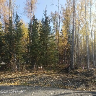 14928 W Concord St, Big Lake, AK 99623