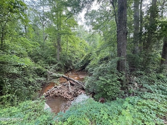 0 Zellner Rd Unit Lot 15 179733, Forsyth, GA 31029