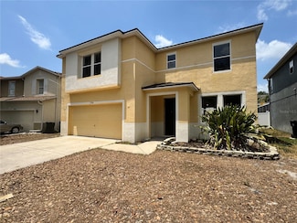 13506 Copper Belly Ct, Riverview, FL 33569