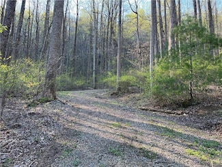 TBD N Ledge Trail, Fancy Gap, VA 24328