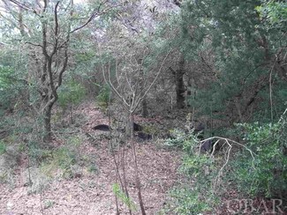 47124 Rocky Rollinson Rd, Buxton, NC 27953