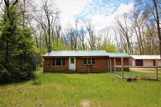 22 E Monroe St, White Cloud, MI 49349