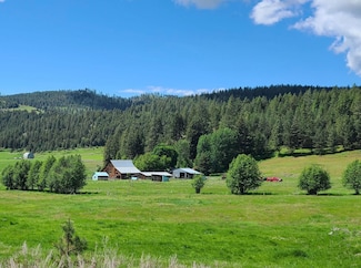 3114 Old Baldy Rd, Rice, WA 99167