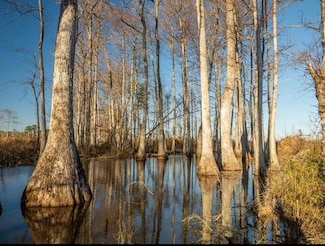 2 Highway 25 Hwy, Flowood, MS 39047