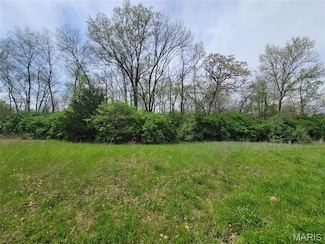 160 Widgeon Ln, Foley, MO 63347