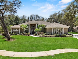 6007 Hammock Hill Ave, Lithia, FL 33547