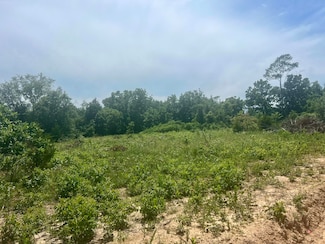 Lot 3 State Highway 112, Cassville, MO 65625