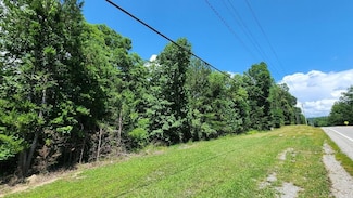Lot5 Tennessee 108, Gruetli Laagr, TN 37339