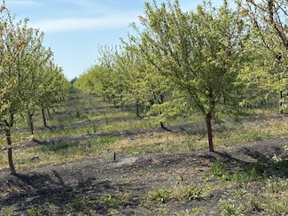 0 N Douglas Ave Unit 23223744, Firebaugh, CA 93622