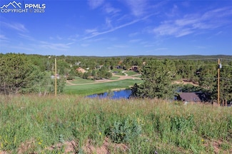 288 Piney Point Ln, Woodland Park, CO 80863