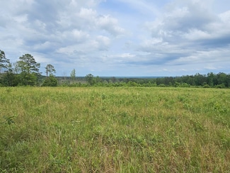 0 Junior Williams Rd, Clopton, AL 36353