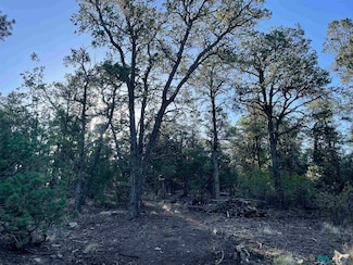4 Box South Ranch Rd, Ramah, NM 87321