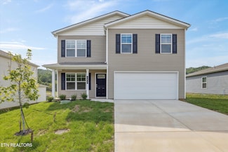 166 N Blissful Meadows Dr, Harriman, TN 37748