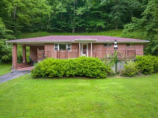 1123 Maguire Rd, Whitewood, VA 24657