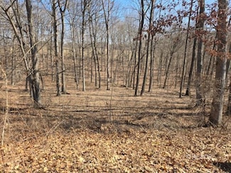 0 Oak Ridge Dr, Green Township, OH 45631