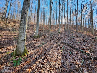0 10 94 Sf Trace Fk ; Big Cr Unit 5086575, Julian, WV 25529