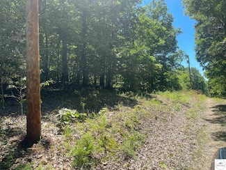 TBD Wapiti Ln, Union Township, MO 65326