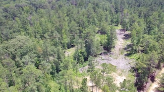 0 Fleming Rd Unit 24136230, Vincent, AL 35178