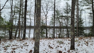 ON Wendt Rd, Eagle River, WI 54521