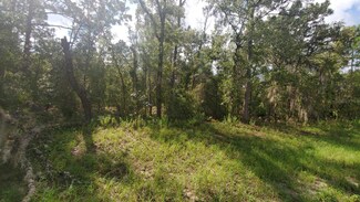 16009 SW 57th Terrace Rd, Marion Oaks, FL 34473