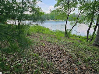 Lot 16 Paradise Dr, Plainfield Township, MI 48761