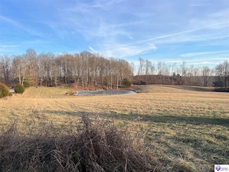 0 Skaggs-Dobson Rd, Summersville, KY 42782