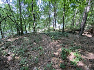310 Golf View Dr, Cohutta, GA 30710