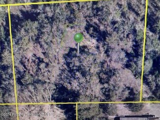 13210 Spruce Grouse Ave, Weeki Wachee, FL 34614