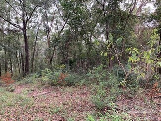 00 Hydrangea St, Milton, FL 32571