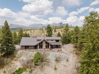 133 W Arbol Park Dr, Chromo, CO 81128