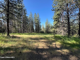 NKA(Lot 3) Baby Cougar Ln, Coeur D'Alene, ID 83815