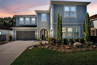 31954 Rothbury Ct, Wesley Chapel, FL 33543