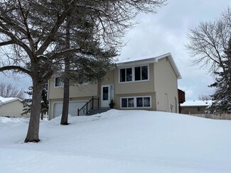 14027 Silverod St NW, Andover, MN 55304