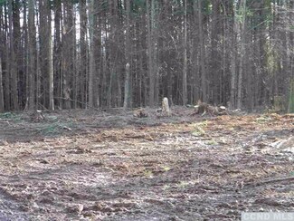 0 Maple Lawn Rd Unit 113213, Cairo, NY 12413