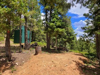 1040 W Raspberry Ln, Duck Creek Village, UT 84762