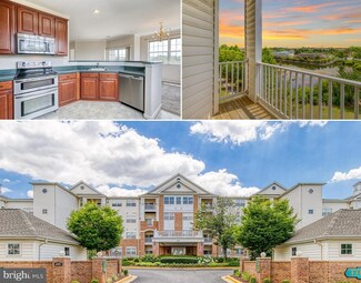 2605 Chapel Lake Dr Unit 305, Gambrills, MD 21054