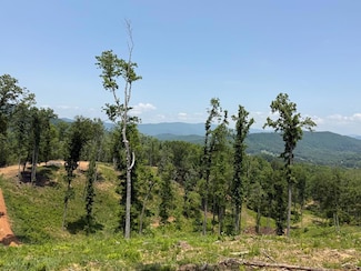 237 S Carter Cove Rd, Hayesville, NC 28904